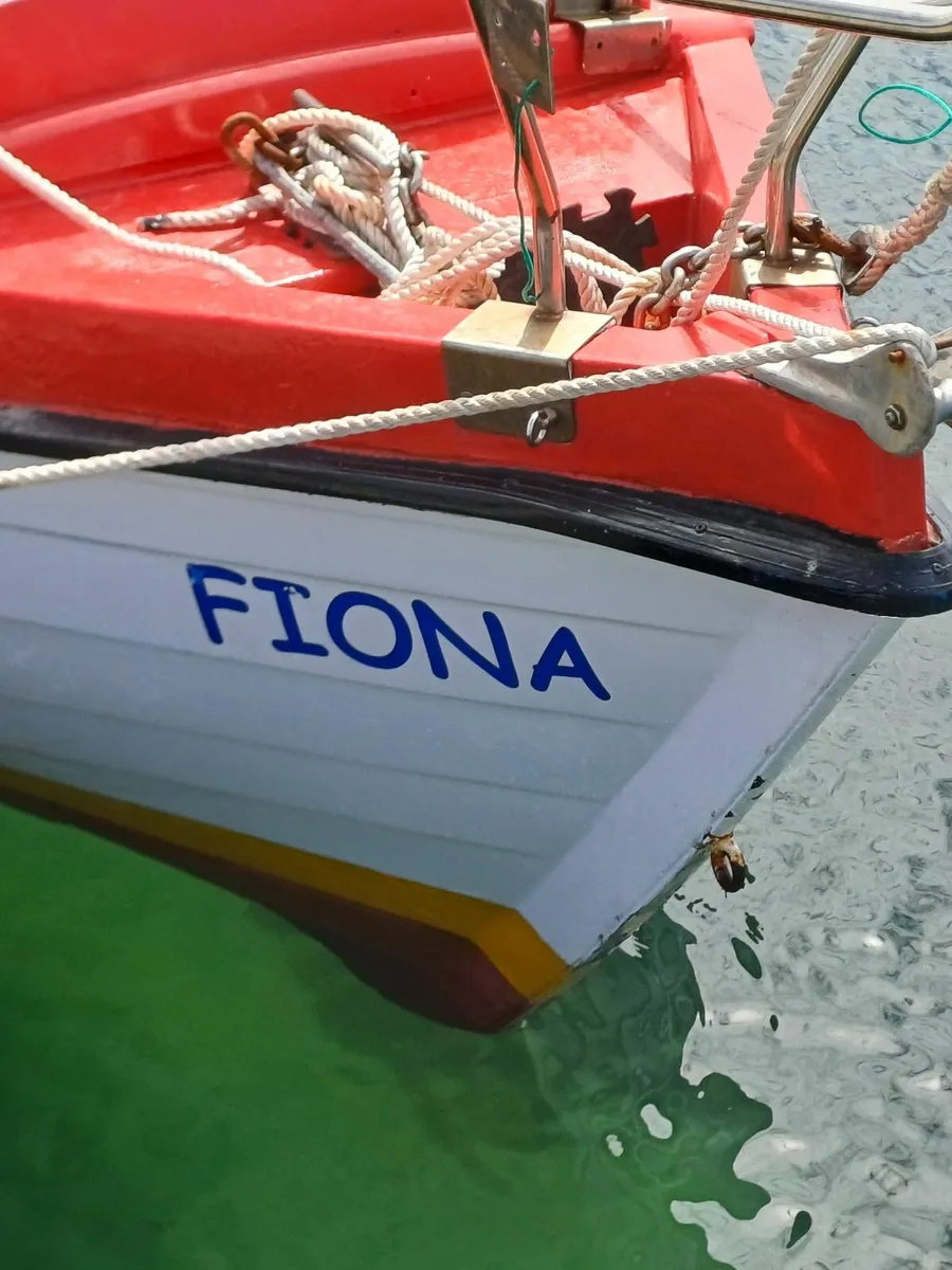 Redbay fisher 21 boat - Image 3