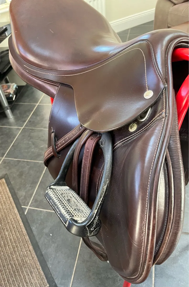 Amerigo jumping saddle - Image 2