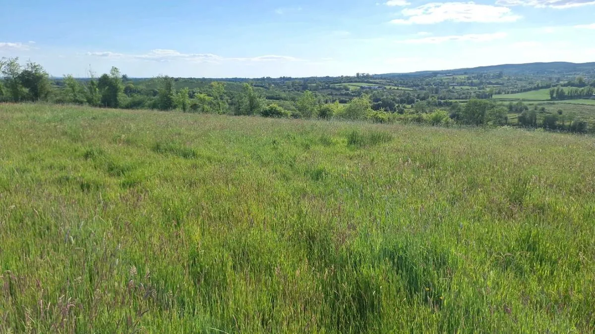 Land for rent 20 acres - Image 1