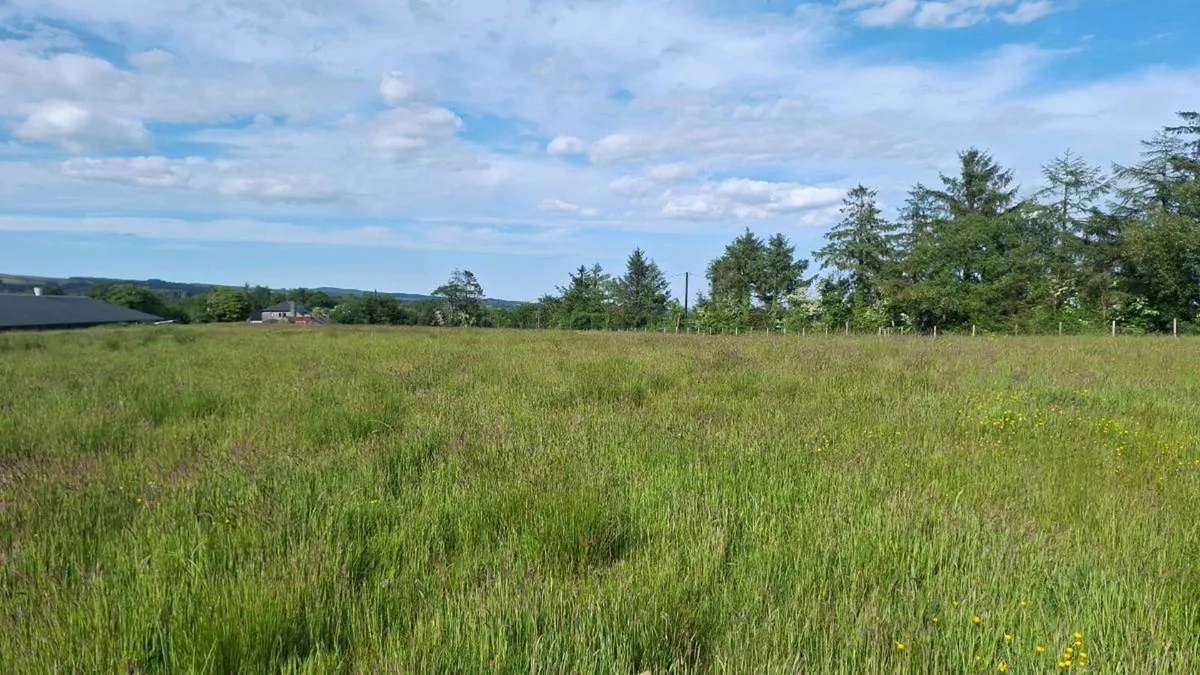 Land for rent 20 acres - Image 2