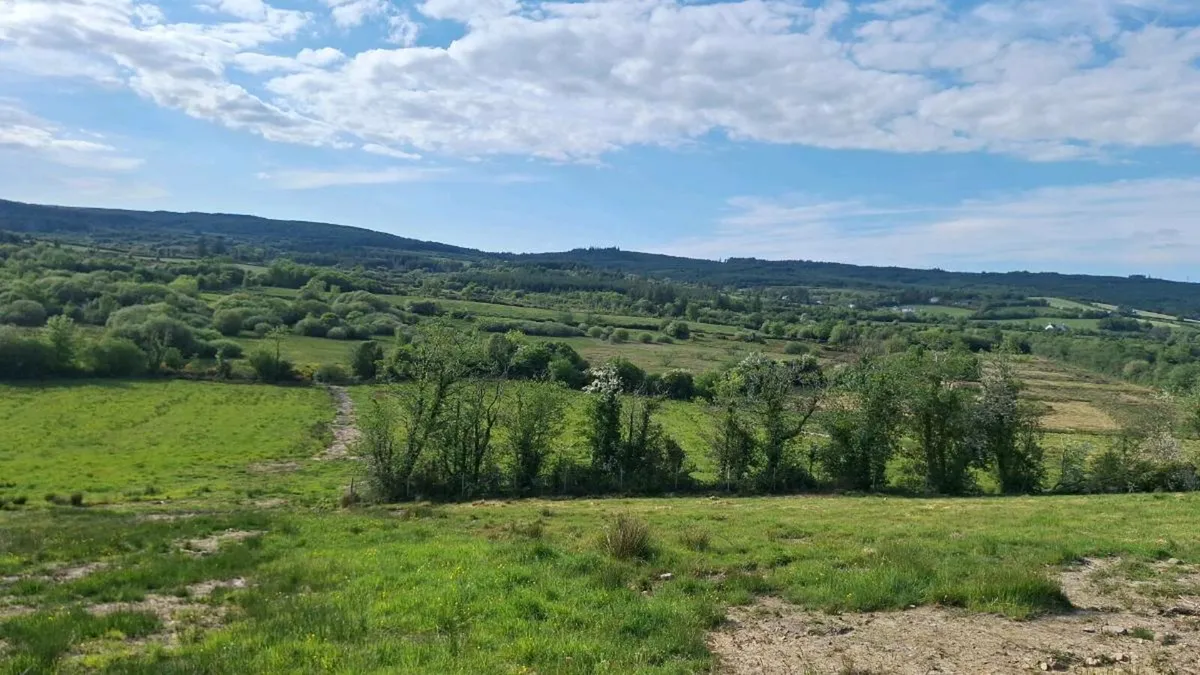 Land for rent 20 acres - Image 3