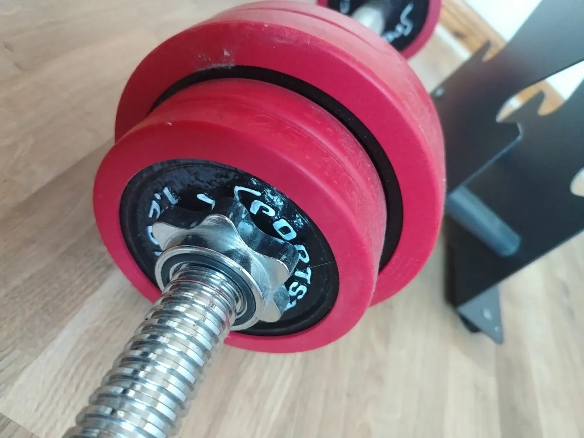 Weights & Rack - Image 4