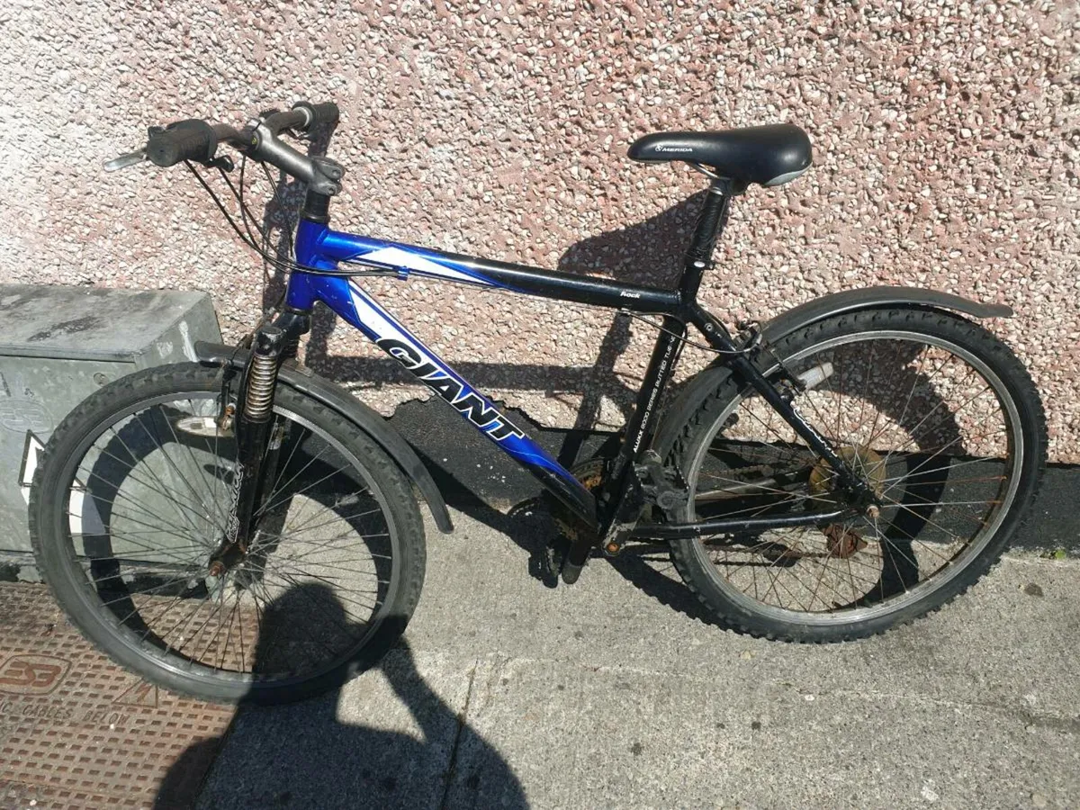 ADULTS GIANT BIKE - Image 1