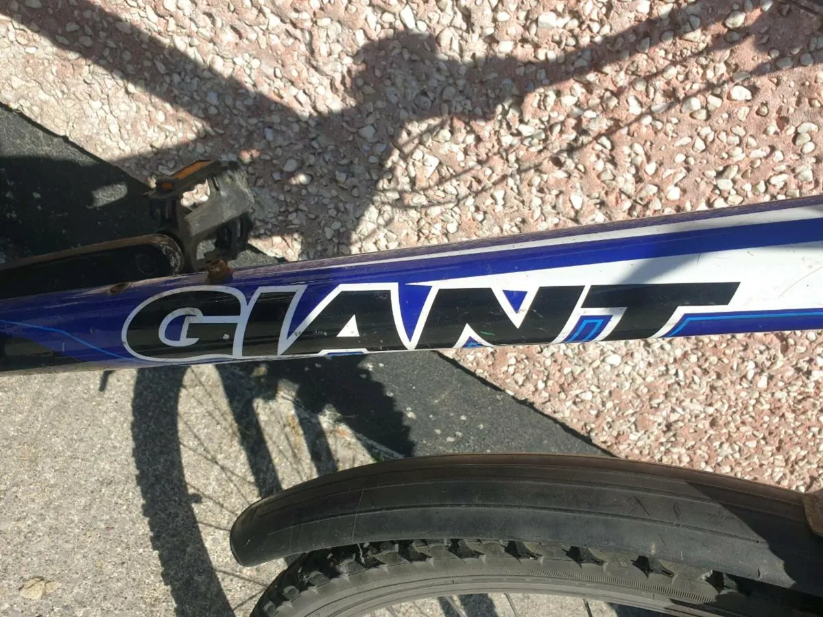 ADULTS GIANT BIKE - Image 2