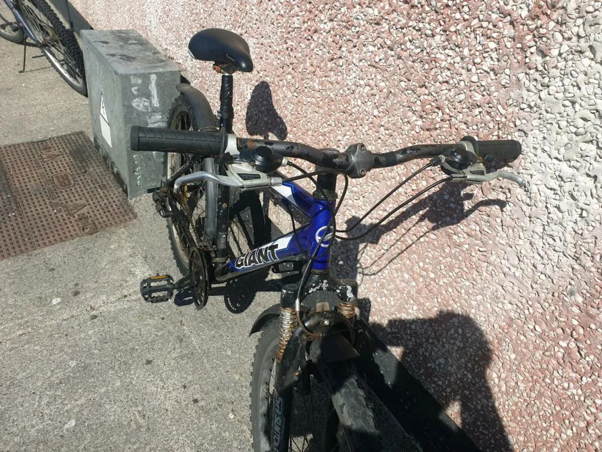 ADULTS GIANT BIKE - Image 3