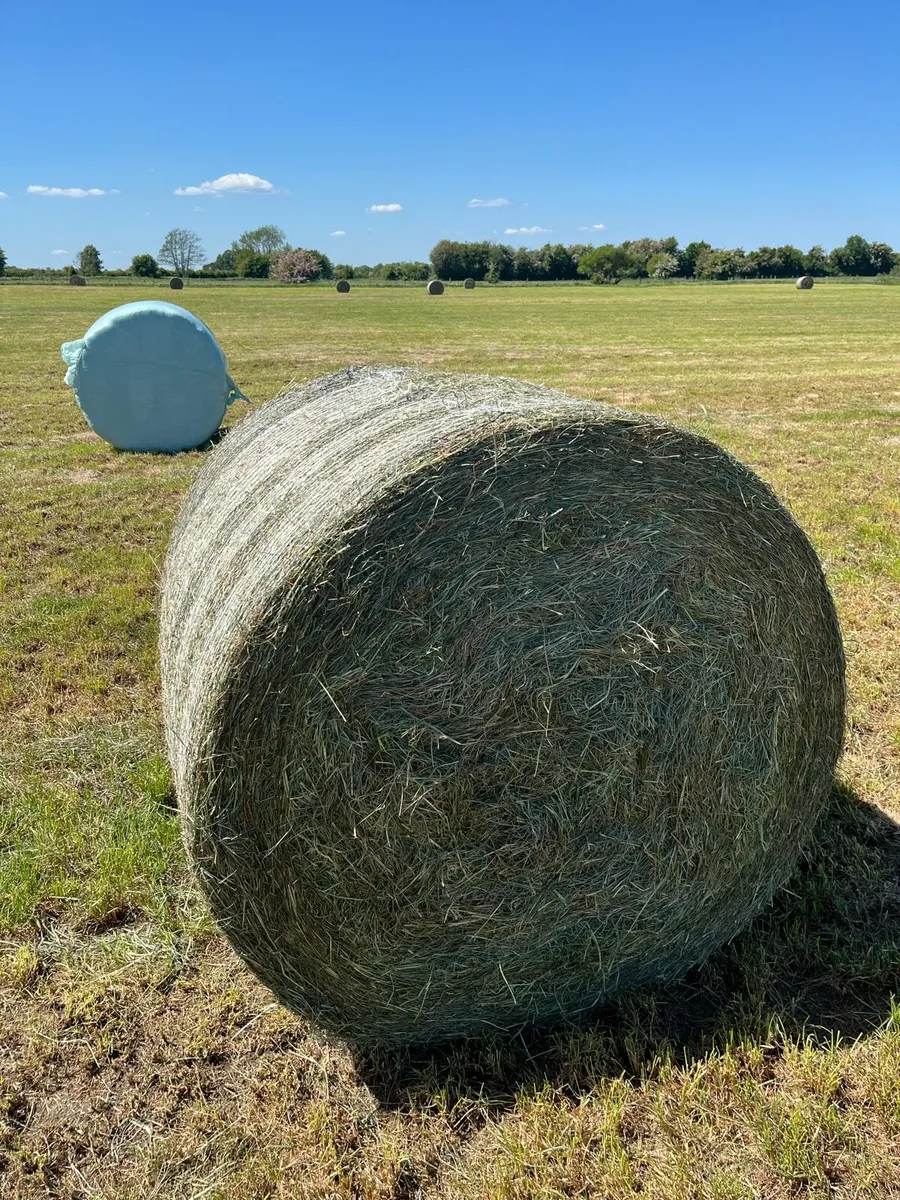 Silage Bales - Image 2