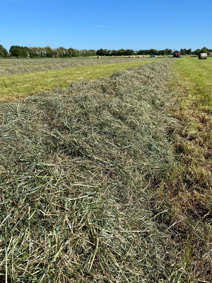 Silage Bales - Image 3