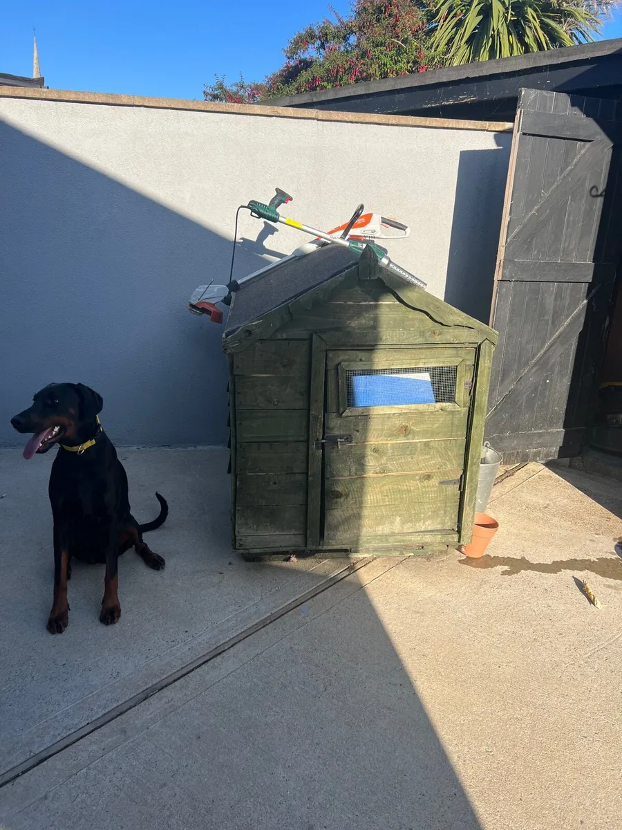 Dog house - Image 2