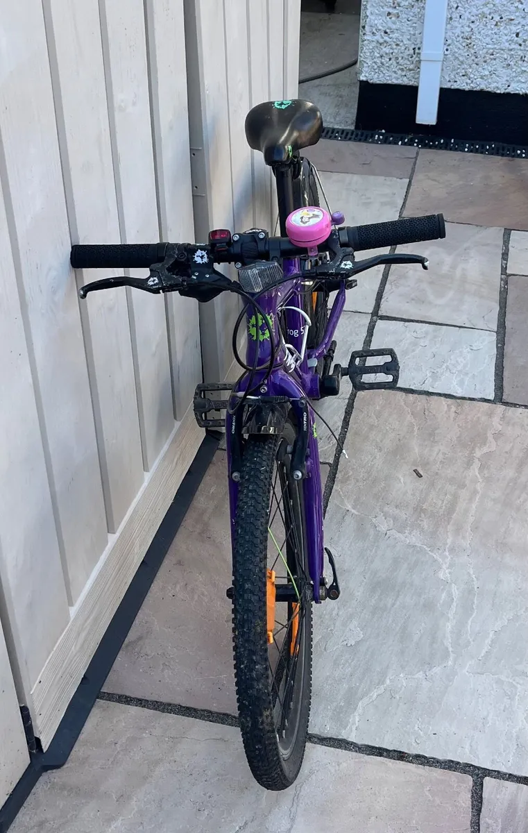 Frog bike - Image 2