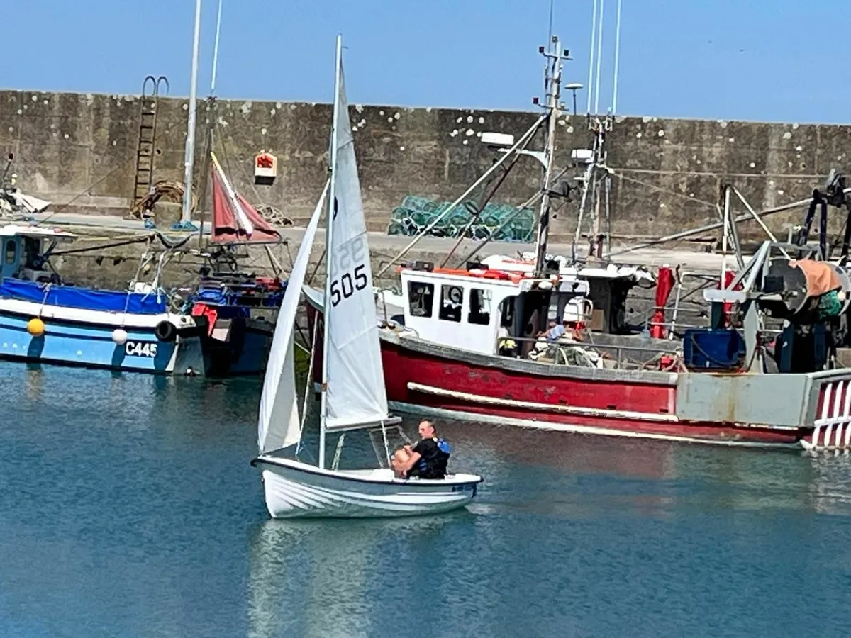 Sailing, rowing, motor dingy - Image 1