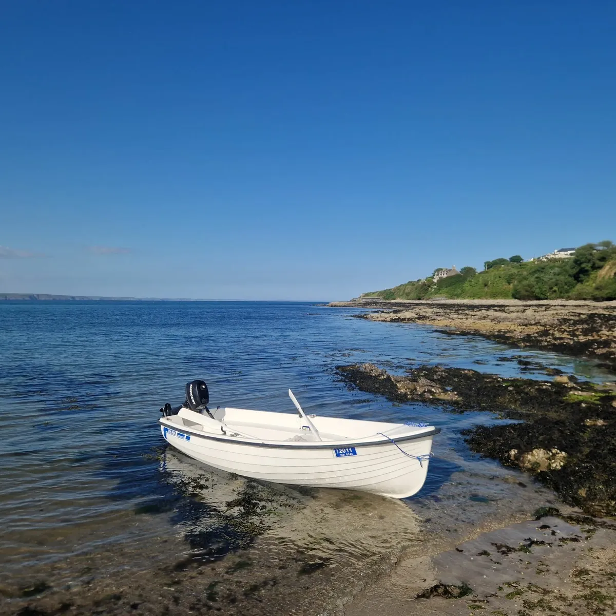 Sailing, rowing, motor dingy - Image 3