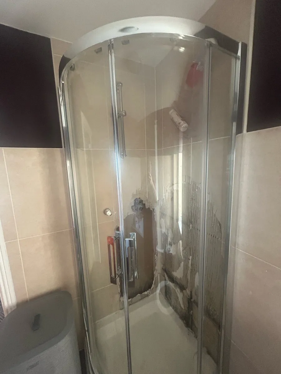 Shower Doors - Image 2