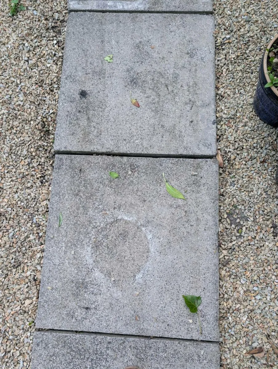 Concrete Paving Stones - Image 2