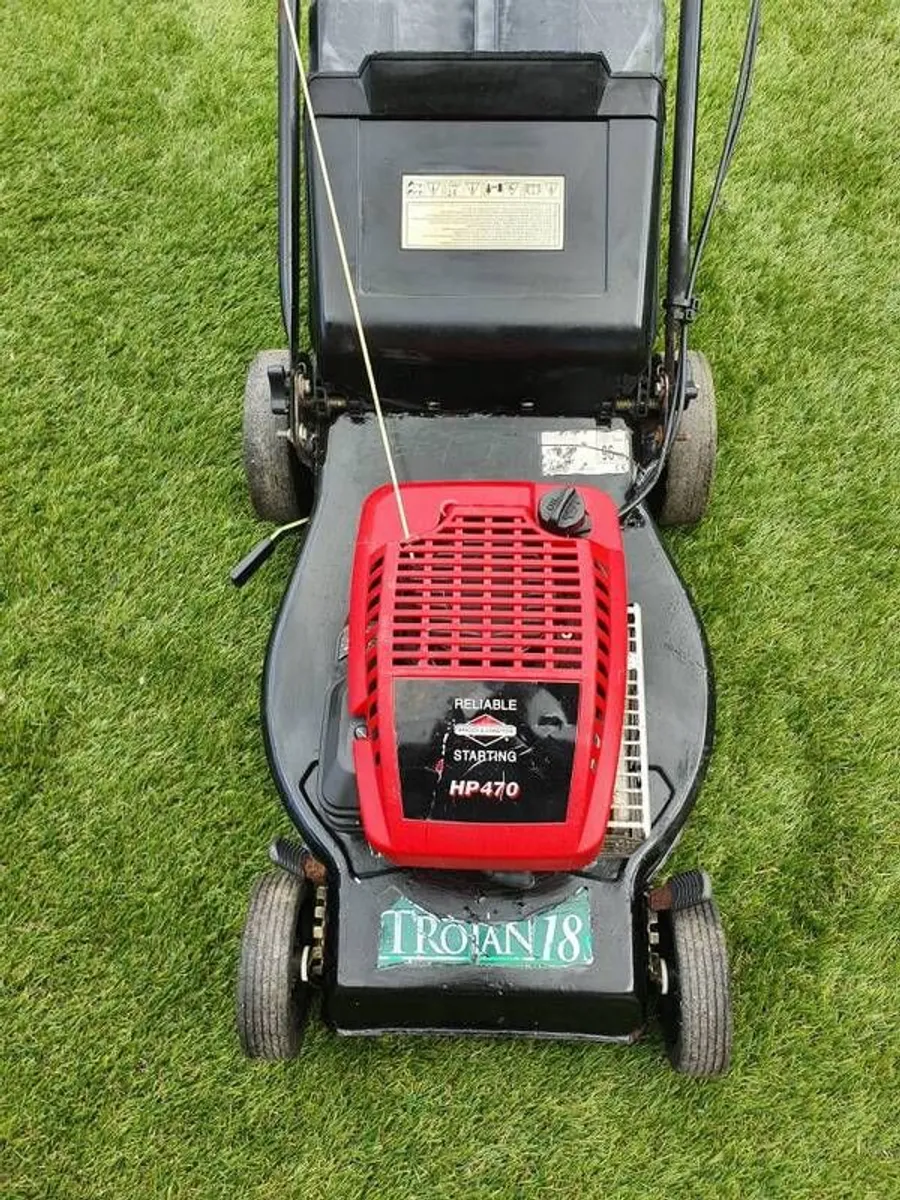 petrol lawnmower - Image 1