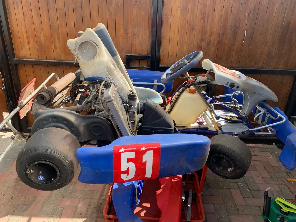 Kosmic T8 with Rotax Max engine - Image 3