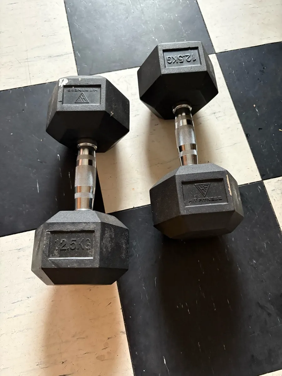 12.5 KG Dumbells