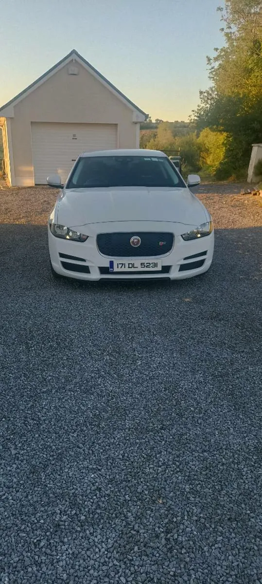 Stunning Jaguar - Image 4