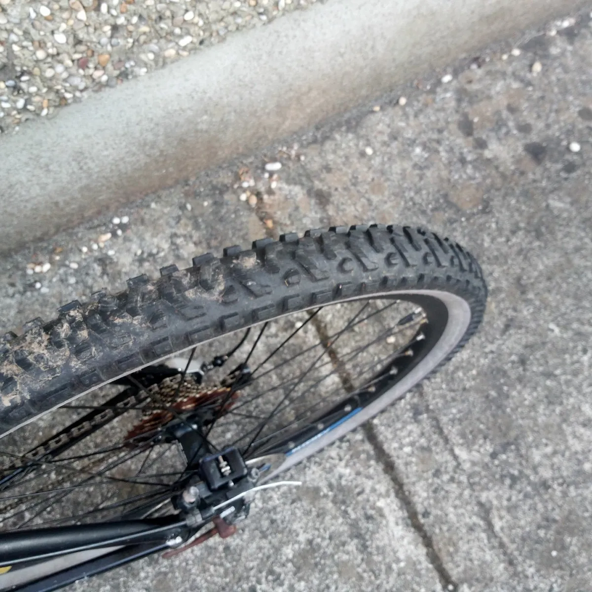 Carerra mountain bike - Image 3