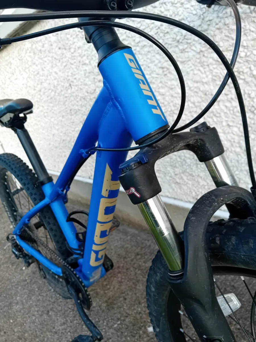 Bicycle - Image 1