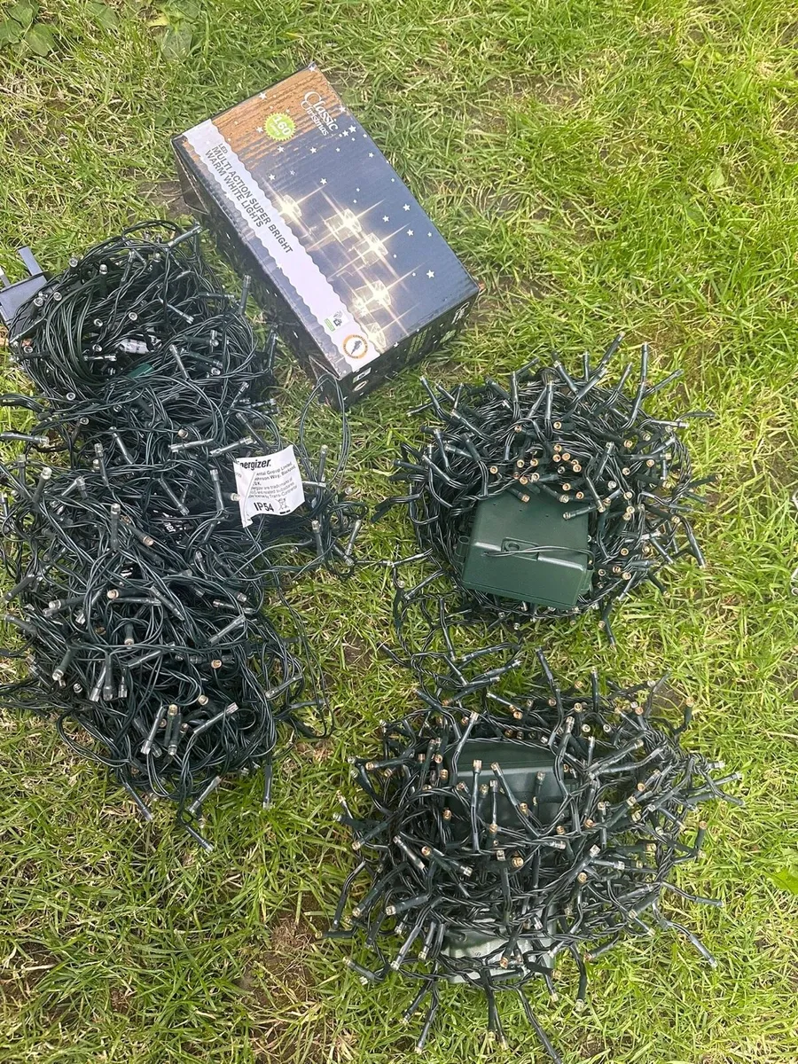 Christmas tree lights