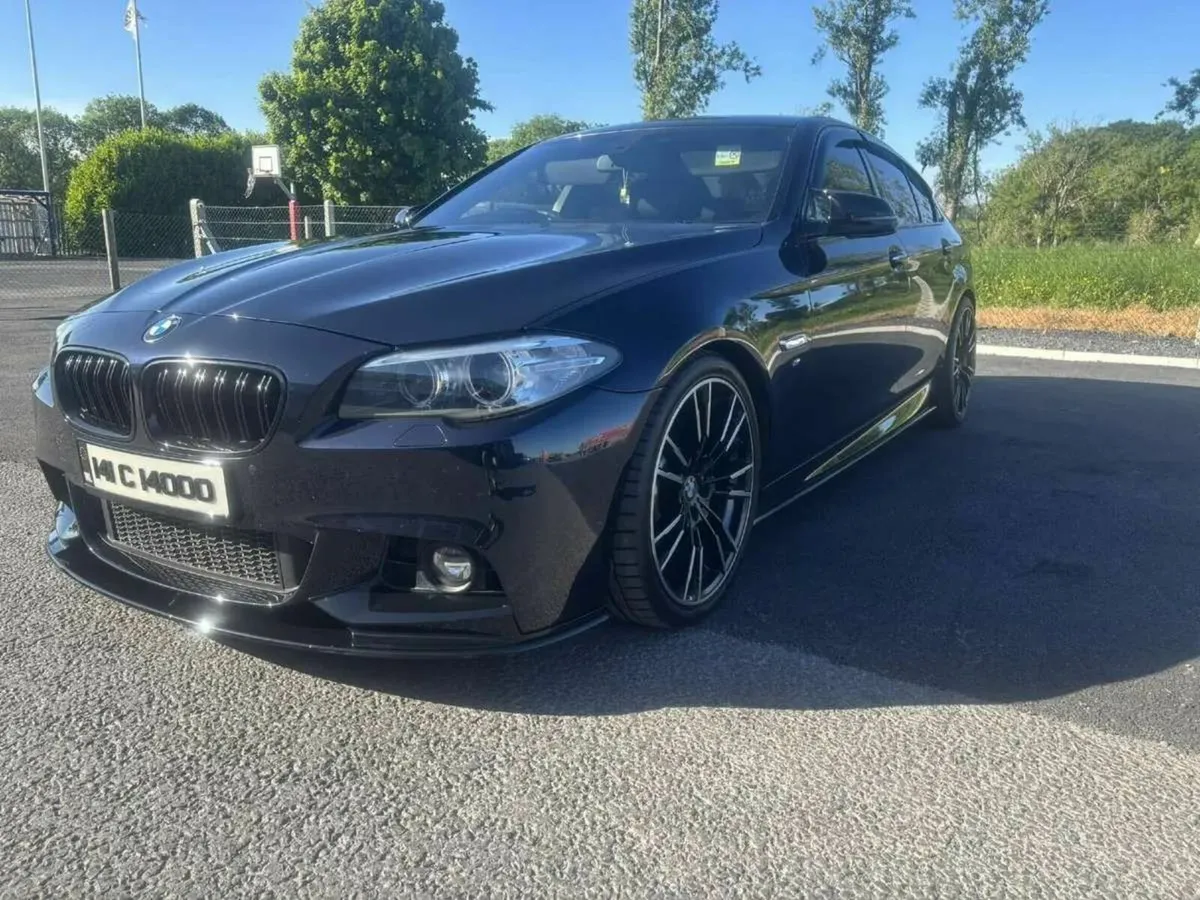 BMW 530d - Image 1