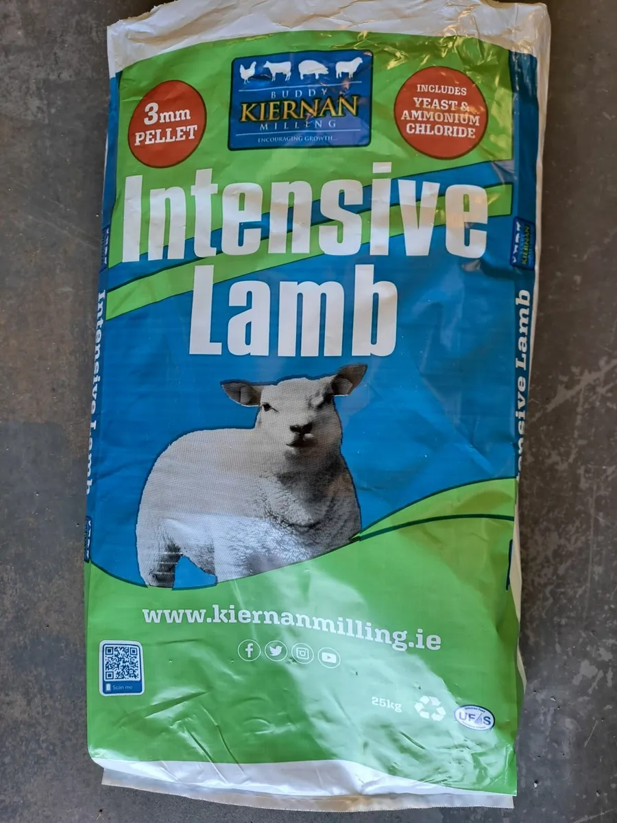 New Plastic Bags - Image 1