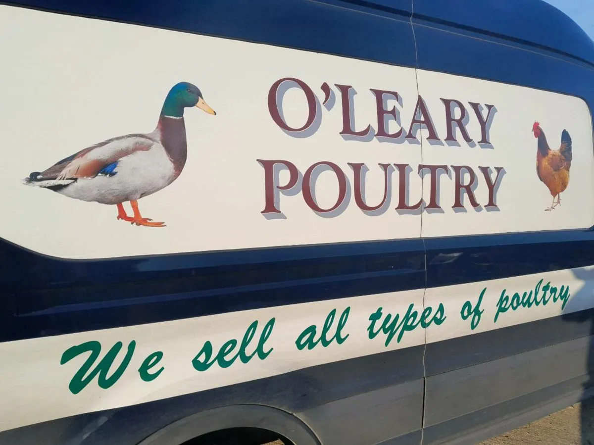 Coonagh poultry sale - Image 1