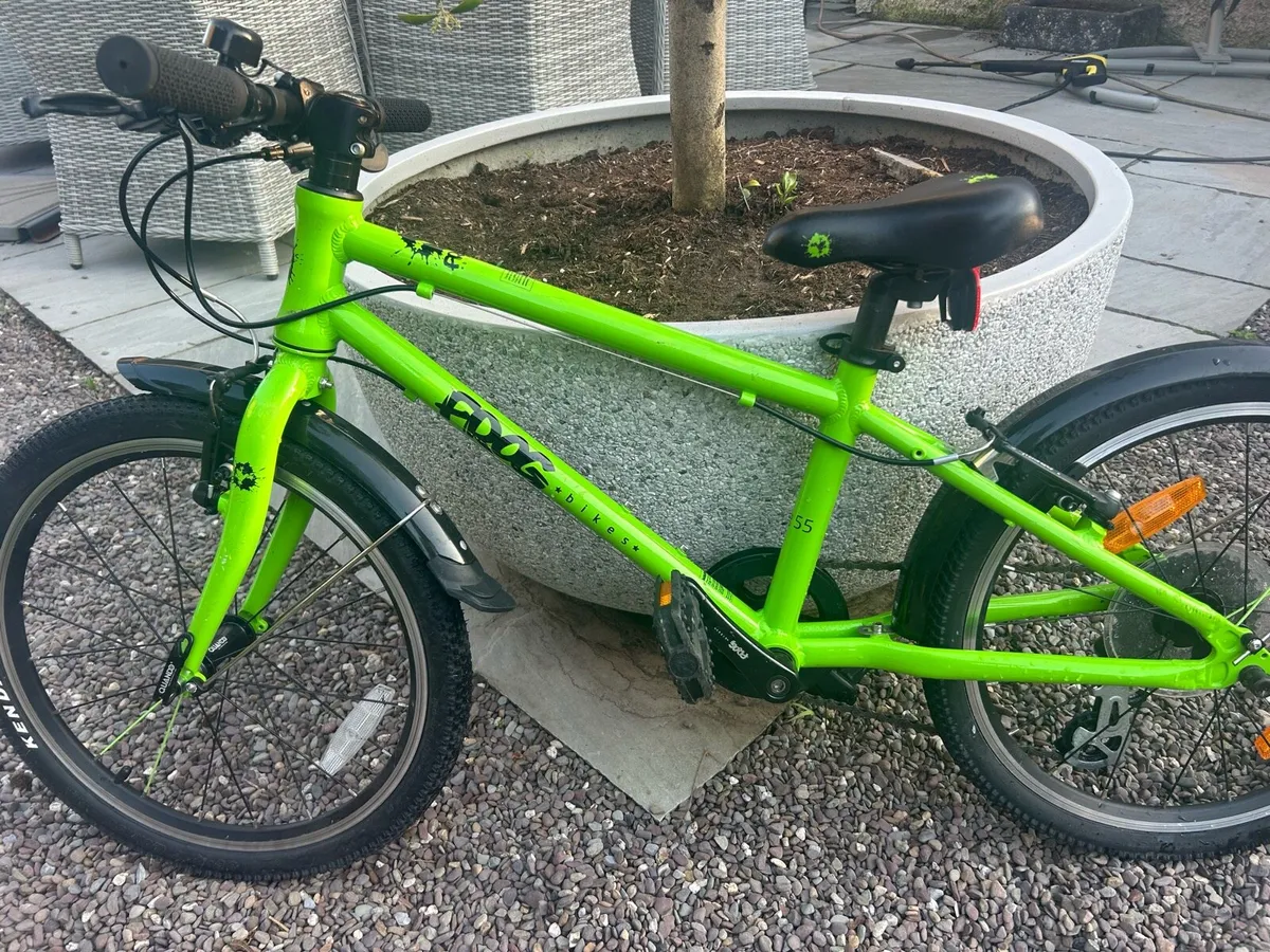 Frog Bike 55 - Image 1