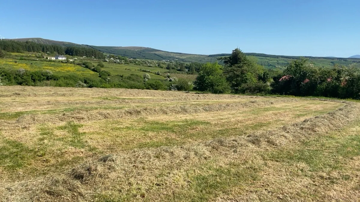 Hay for sale - Image 4