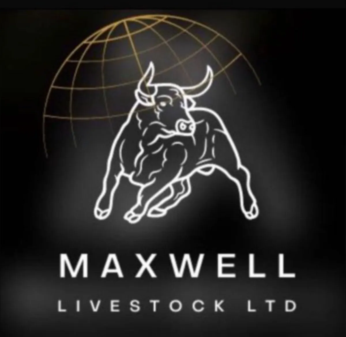 CATTLE NEEDED FOR EXPORT - Image 1
