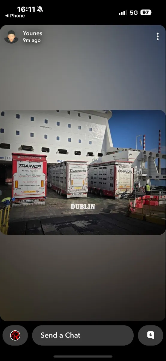 CATTLE NEEDED FOR EXPORT - Image 2