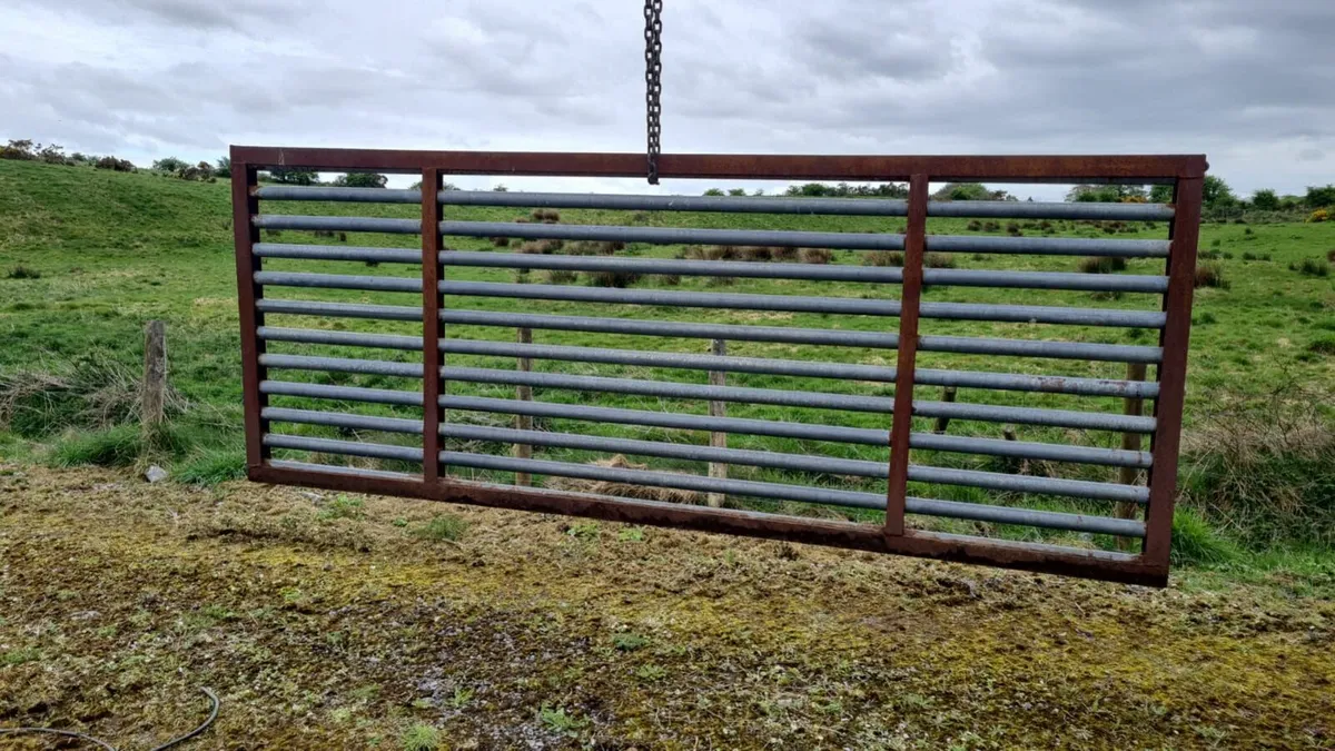 Cattle Grid - Image 1