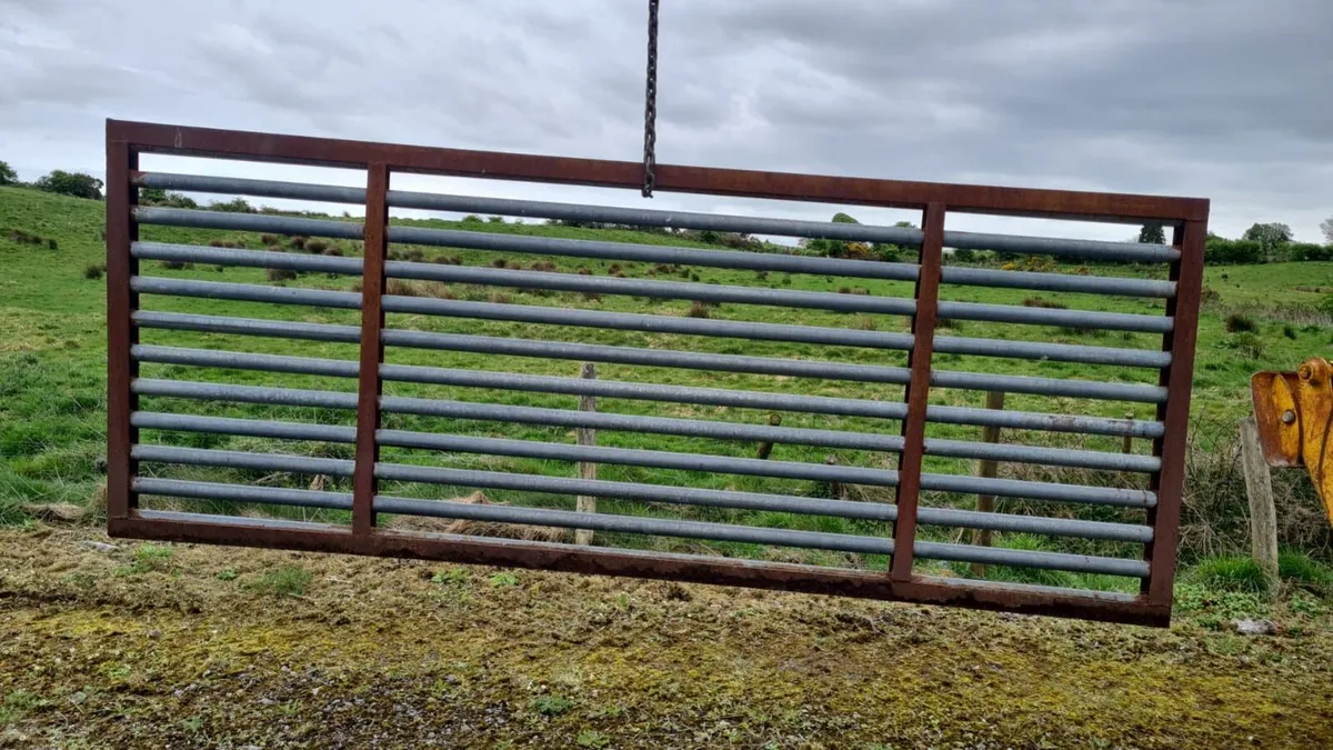 Cattle Grid - Image 2
