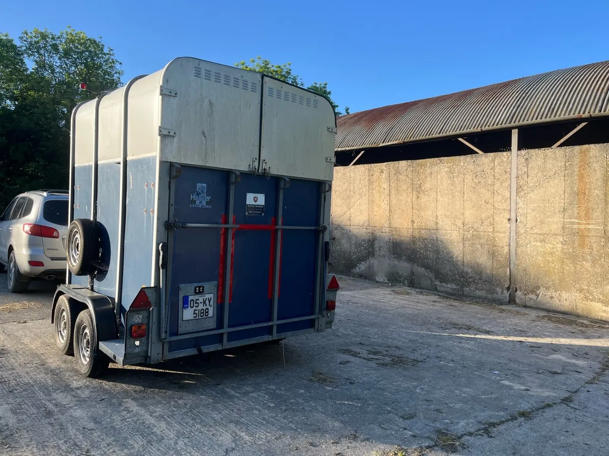 Horse Box - Image 4