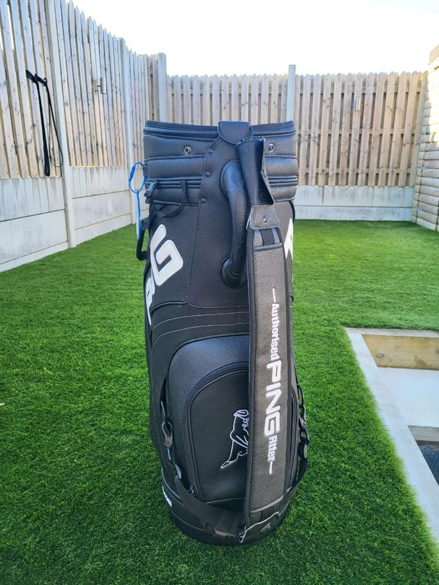 Ping Tour Leather Bag - Image 3