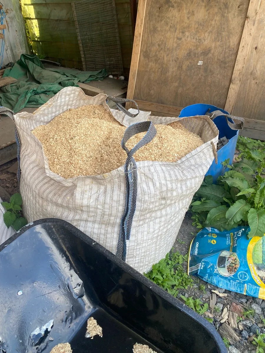 Sawdust - Image 3