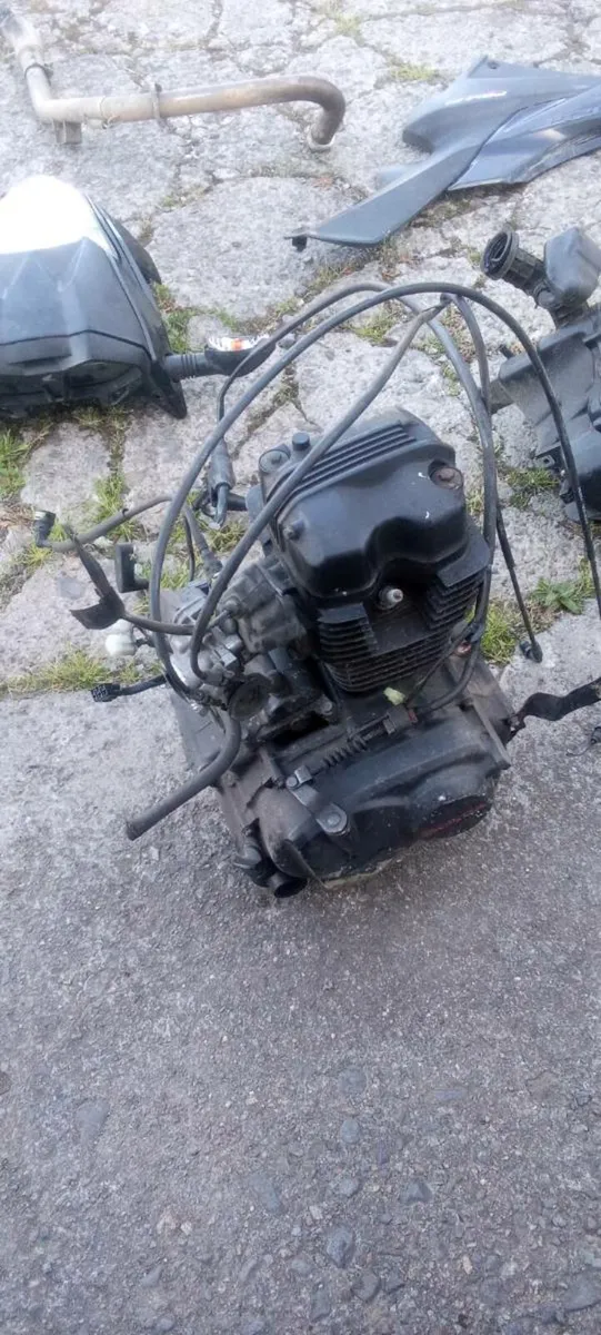 Bikes breaking - Image 3