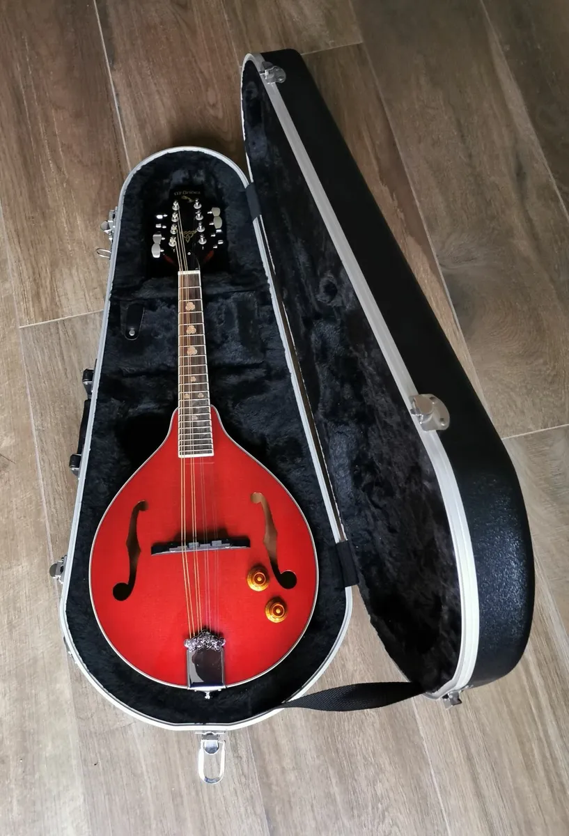 Mandolin - Image 2