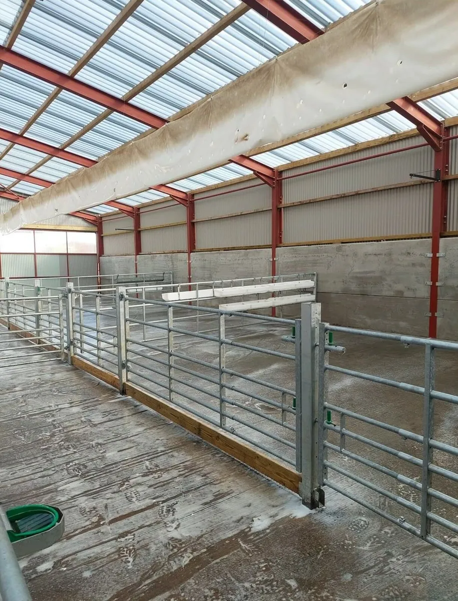 MIDLANDS  POWERWASHING SERVICES - Image 1