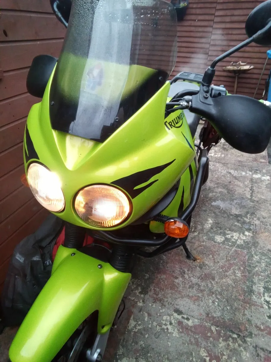 Triumph Tiger 955 - Image 1