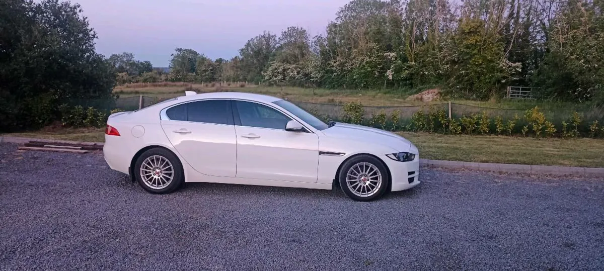 Stunning Jaguar - Image 1
