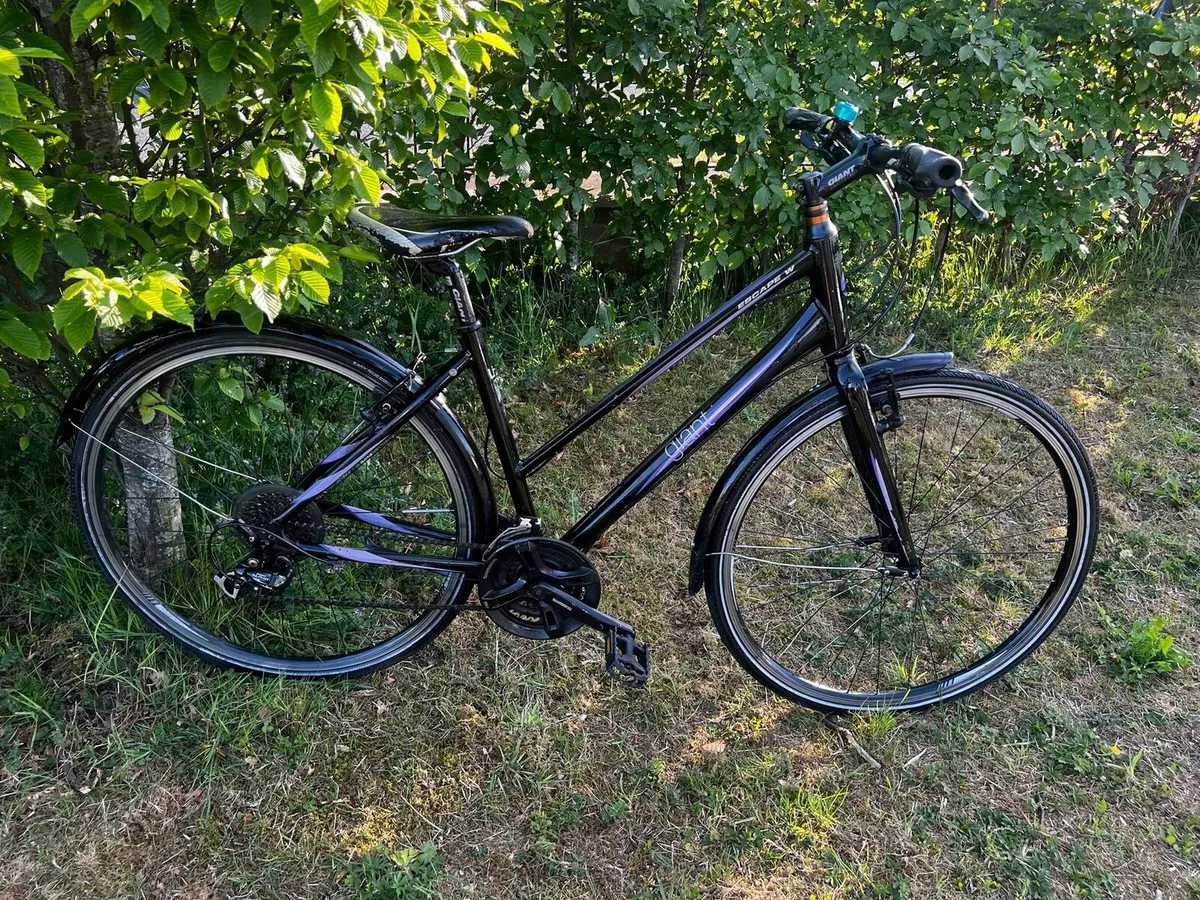 Giant Escape FULLY WORKING - Image 1