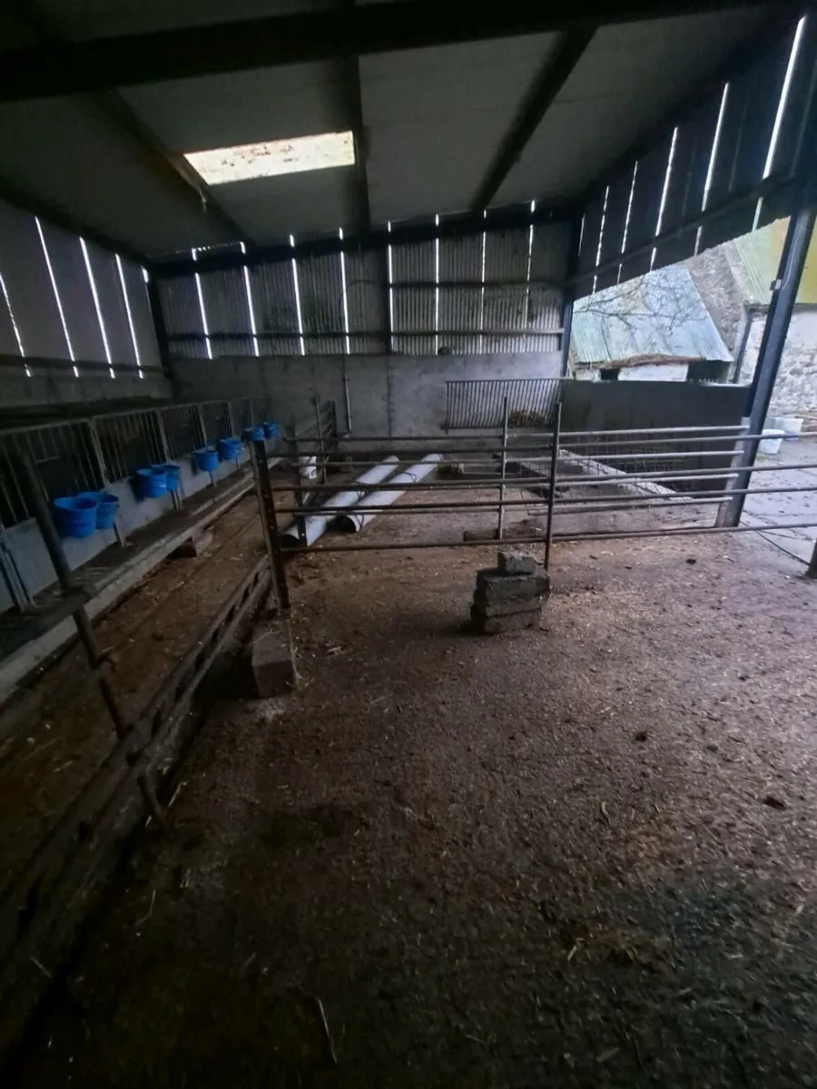 MIDLANDS  POWERWASHING SERVICES - Image 4