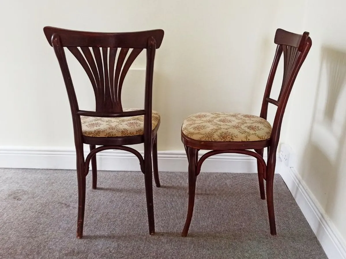 2 Antique bentwood bistro chairs N 196  by Jacob & Joseph Kohn, Viena, Austria - Image 3