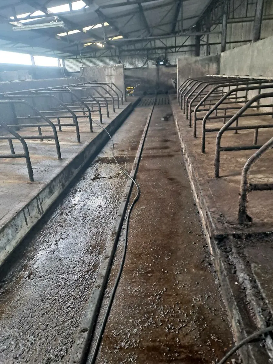 MIDLANDS  POWERWASHING SERVICES - Image 4