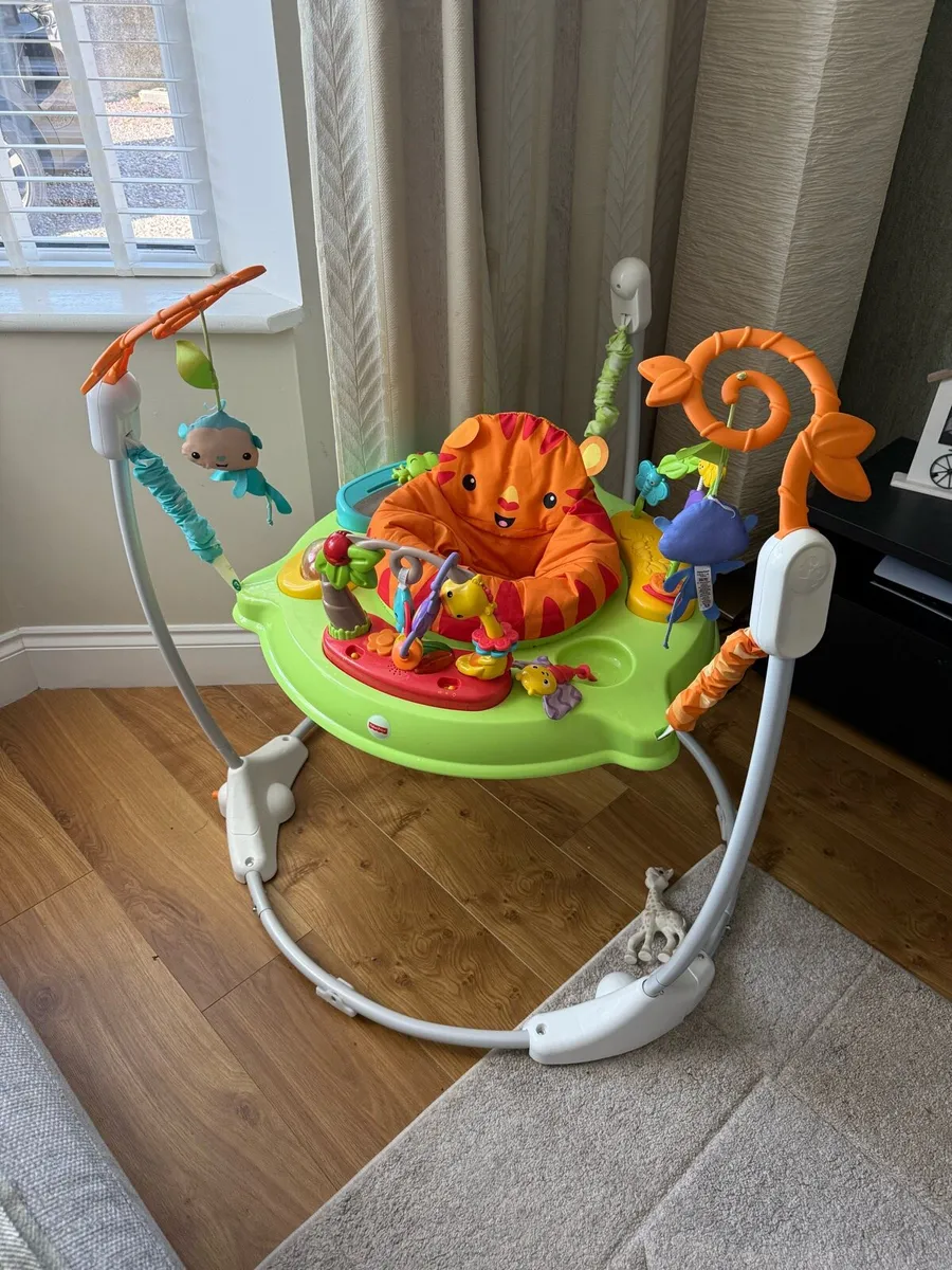 Fisher-Price Baby Bouncer