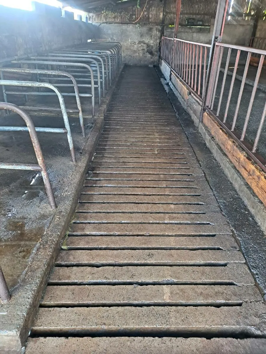 MIDLANDS  POWERWASHING SERVICES - Image 4