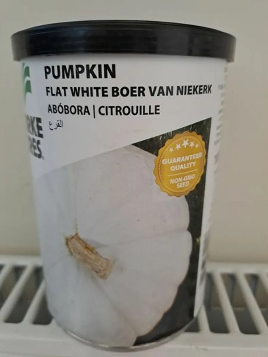 Flat white pumpkin Seeds South African - Image 1