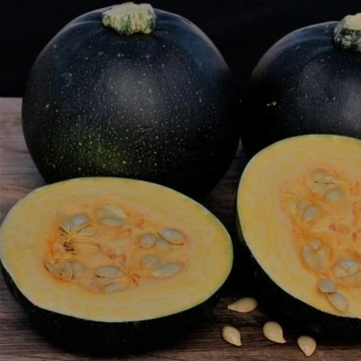 Gem squash seeds South Africa - Image 2