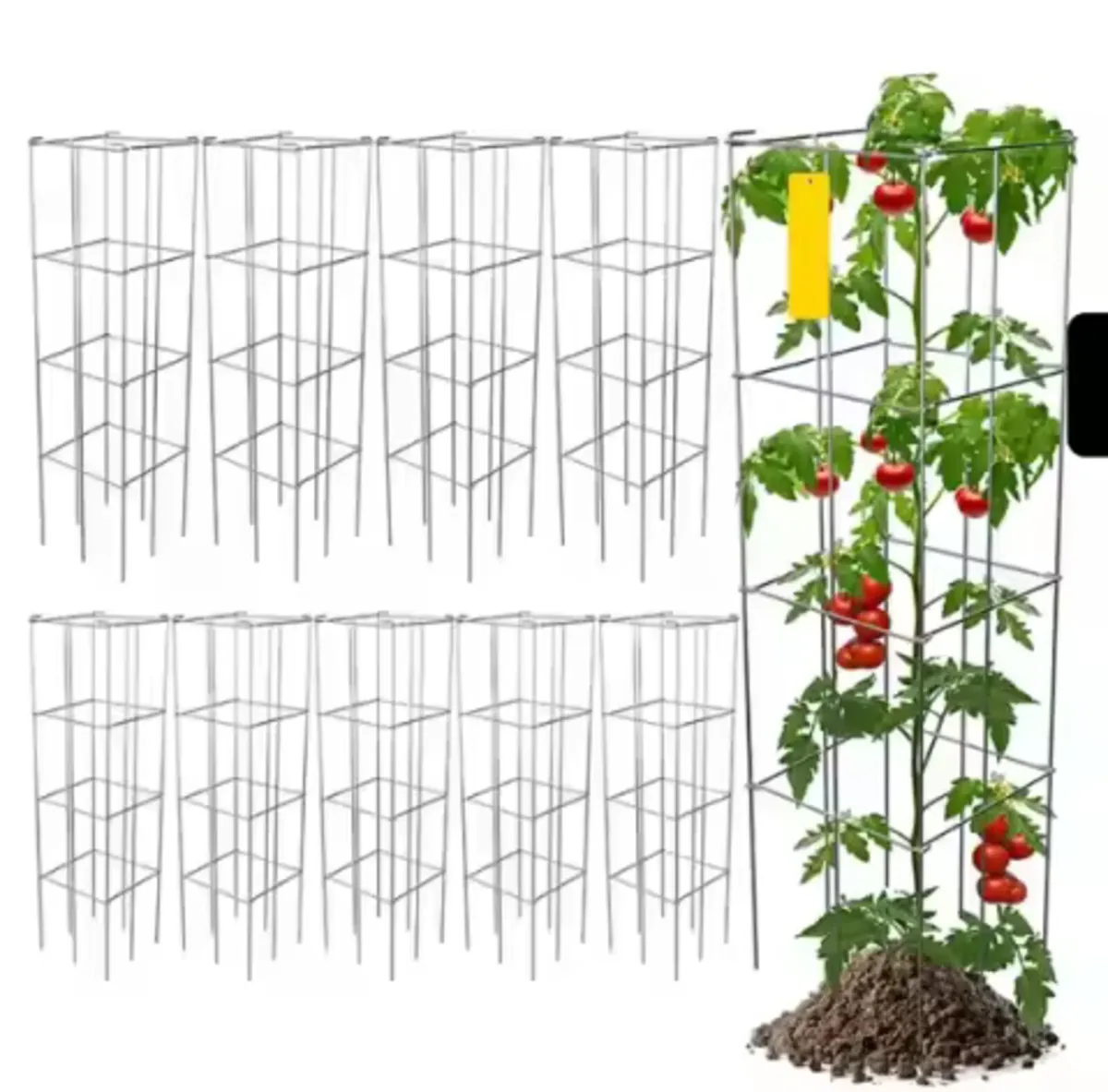Tomato plant support - Image 1